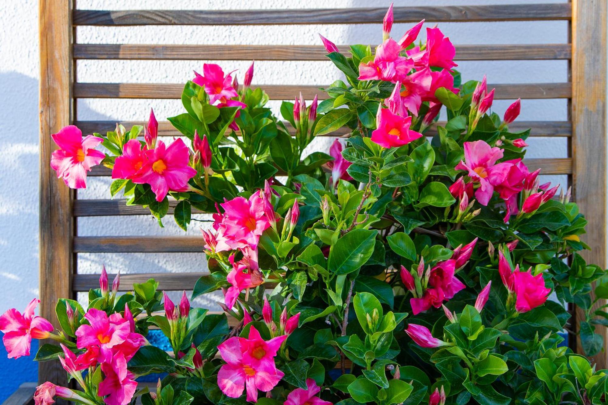 4Ever Palace Design&Nature Alcácer do Sal Exterior foto